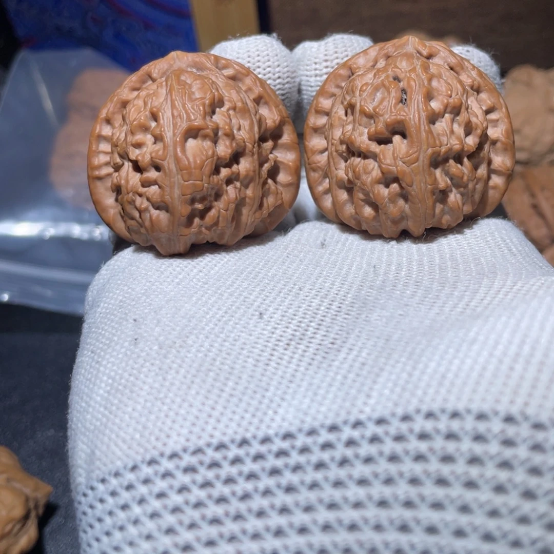 白***弟大叶紫檀（黑酸枝木类）全品白狮子