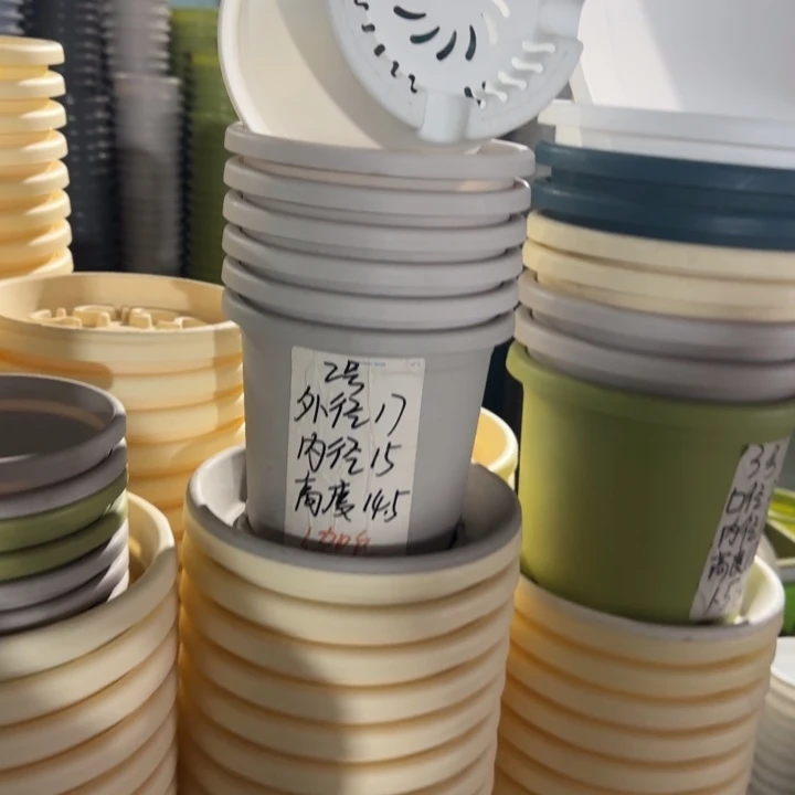 四季2#口径17无托灰白6个