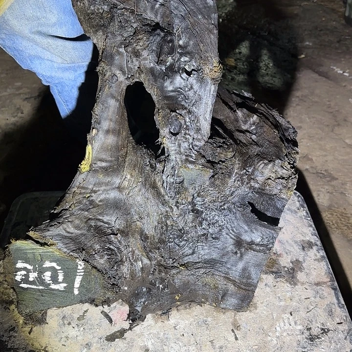 湘***1金丝楠金丝楠阴沉木