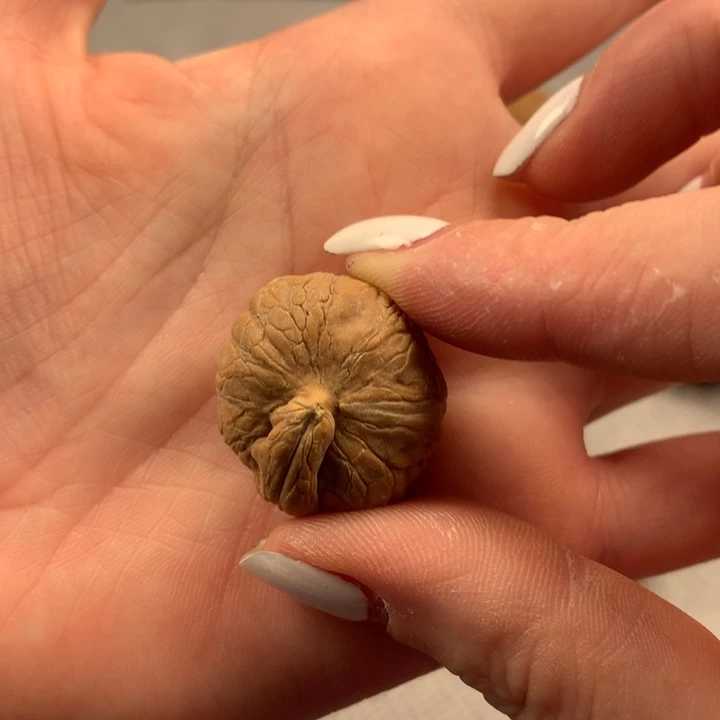 狗***旺文玩核桃吊坠异形单只