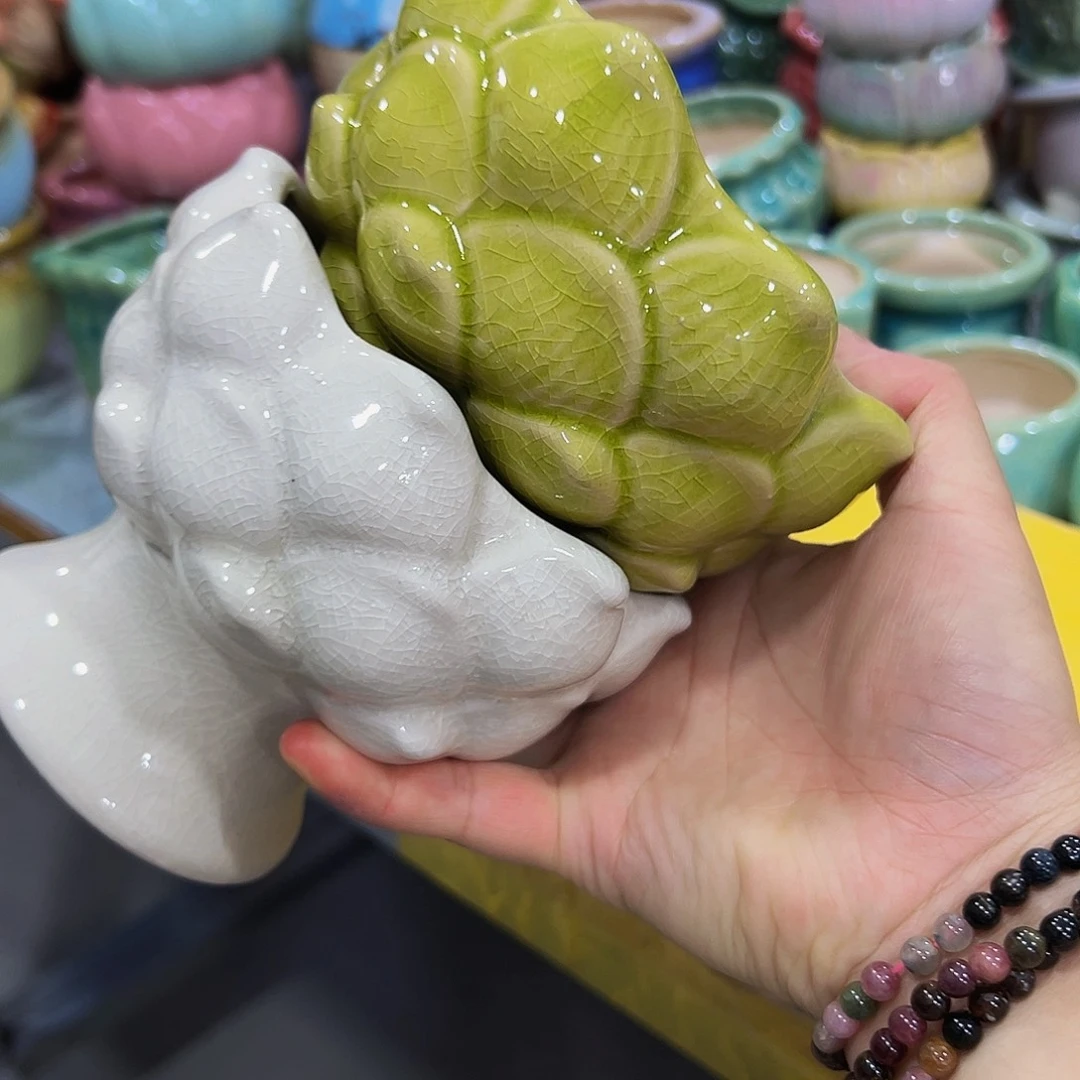 花盆花盆花盆花盆花盆花盆花盆