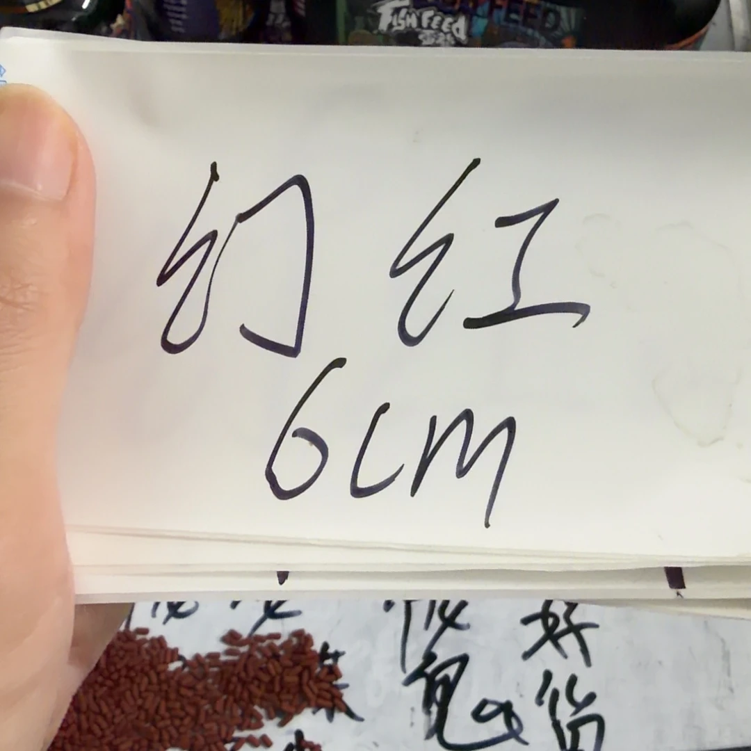雷龙鱼幻红雷龙11111