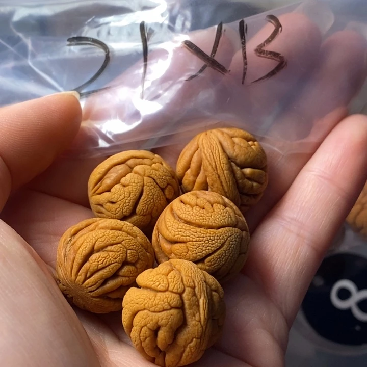 手串文玩核桃秦岭野生龙纹桃核21