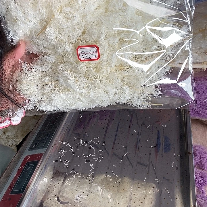 一物一拍，所见即所得8377