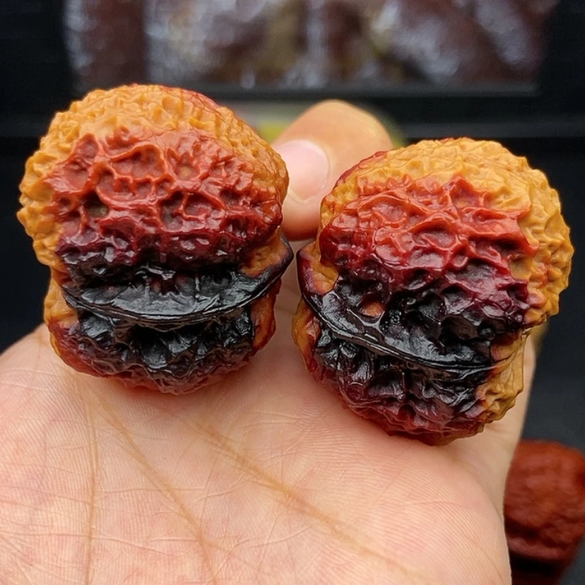 【闪购商品】把件文玩核桃39尺七彩火麒麟金蟾