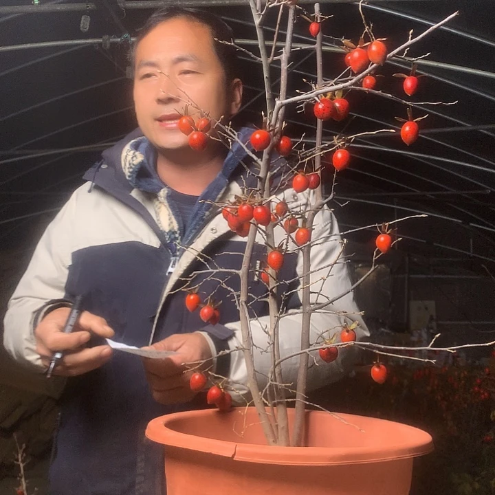 用***5无花朵我们的目标