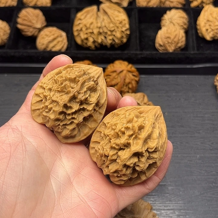 木质类秦岭突突突突突突突