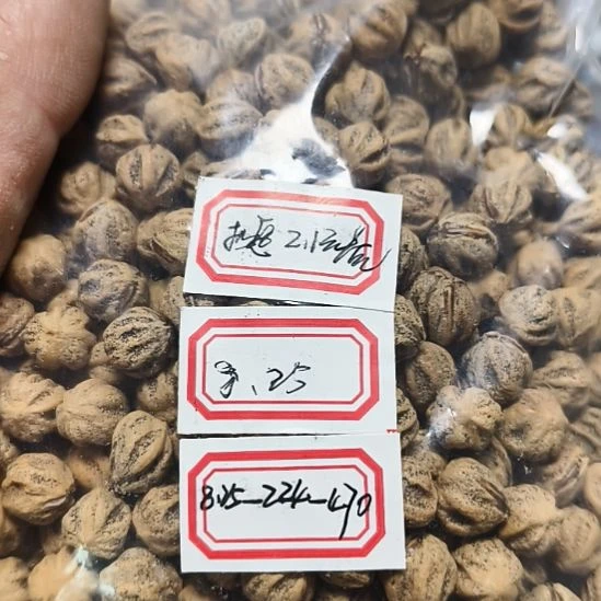 柏香籽/百香籽吊坠