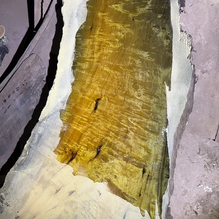 奥***兽金丝楠金丝楠阴沉木