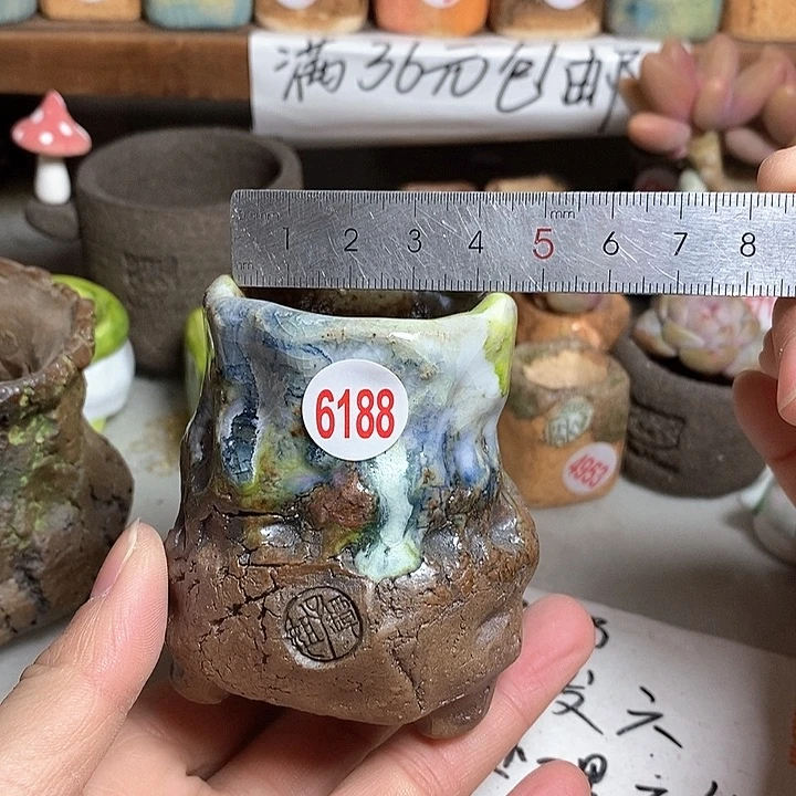 红陶拍5送一个小