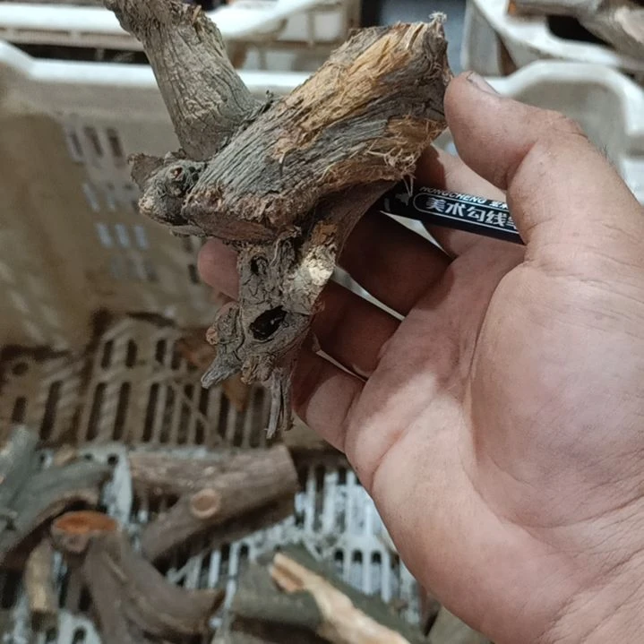 那***歌大果紫檀（缅甸花梨）