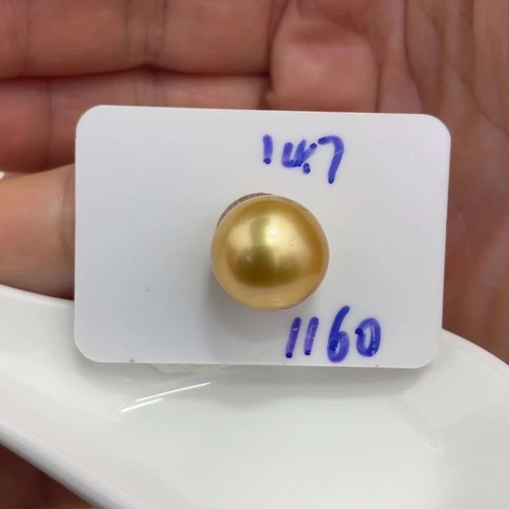 海水珍珠裸珠14.7mm浓茶金珠