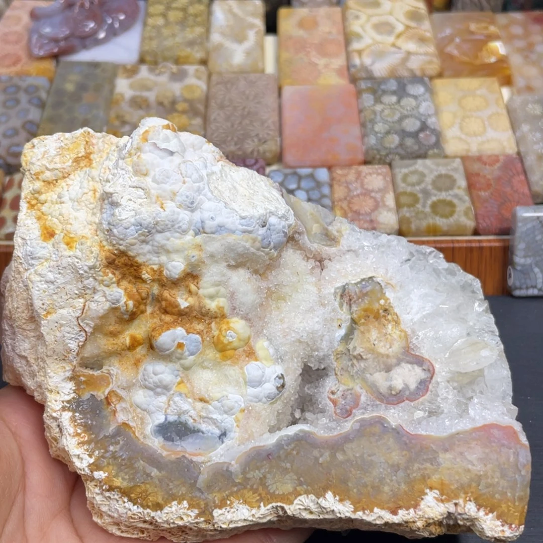 硅化玉未镶嵌颈饰k98