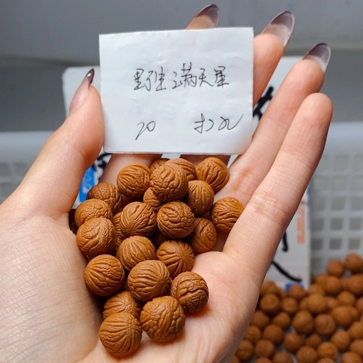 手串桃核11mm左右野生满天星20颗（打孔）