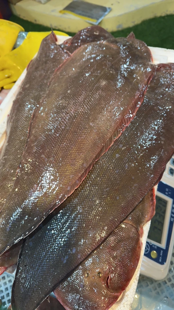 直播间大塔姆鲜鱼速冻称重