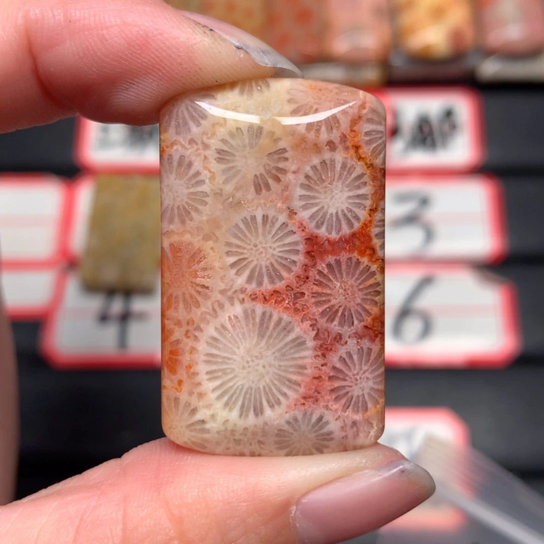 【闪购商品】未镶嵌颈饰硅化玉痴*