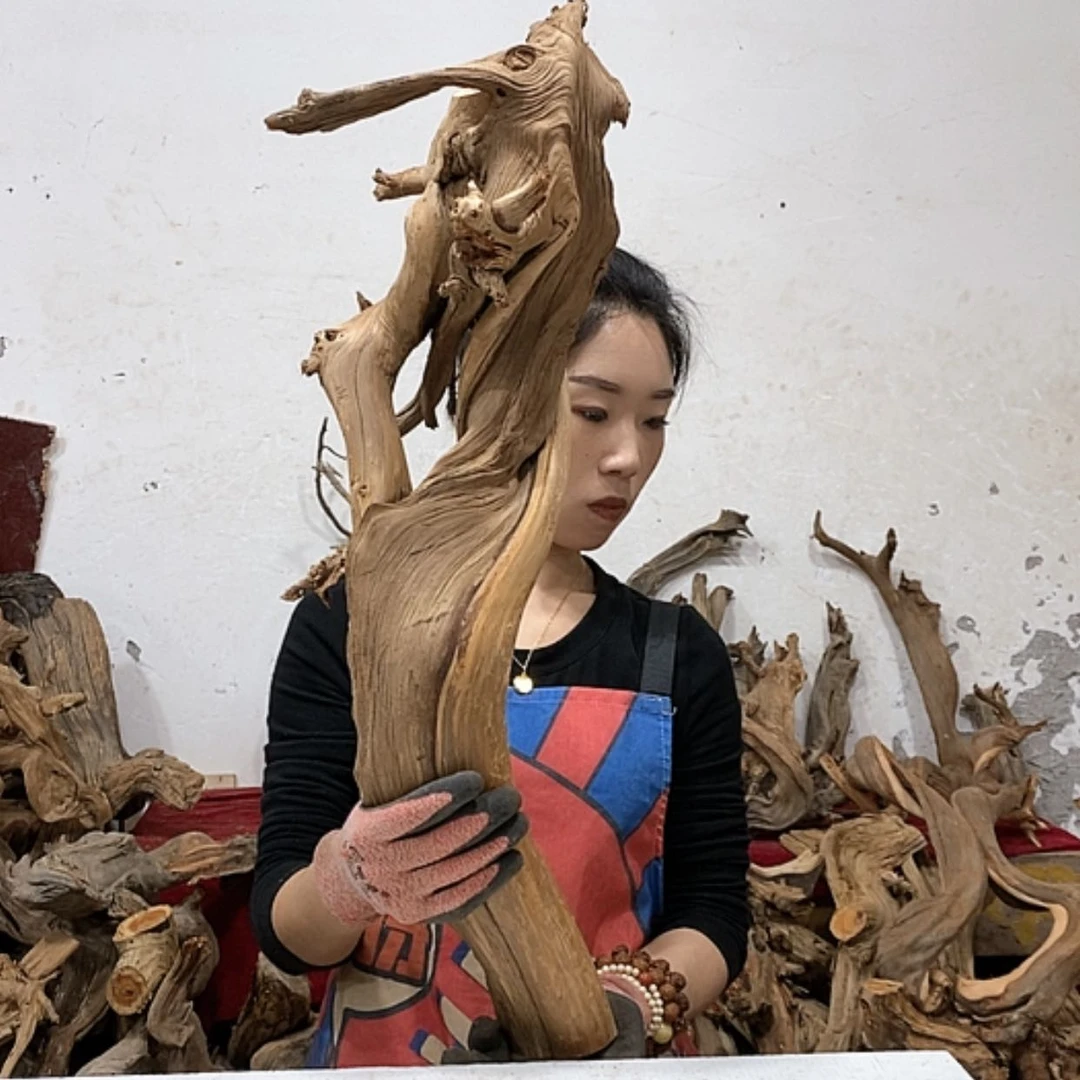 【闪购商品】柏木刘*华我们都是好孩子