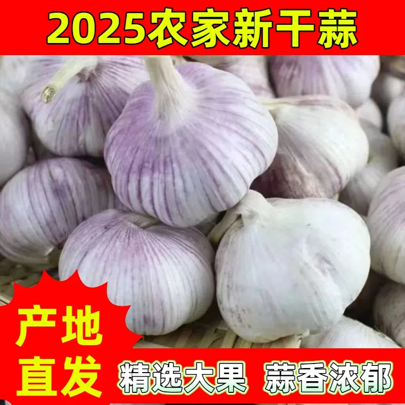 【强烈推荐】干大蒜5斤(特大果)紫白皮大蒜杞县大蒜大蒜头农家大蒜