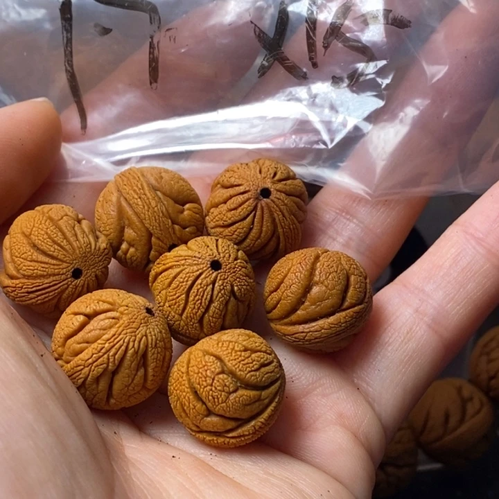 文玩核桃吊坠秦岭野生龙纹桃核17