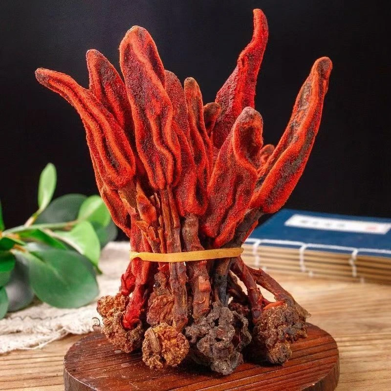 云南回春草顶天柱可泡水可煲汤可泡茶100克