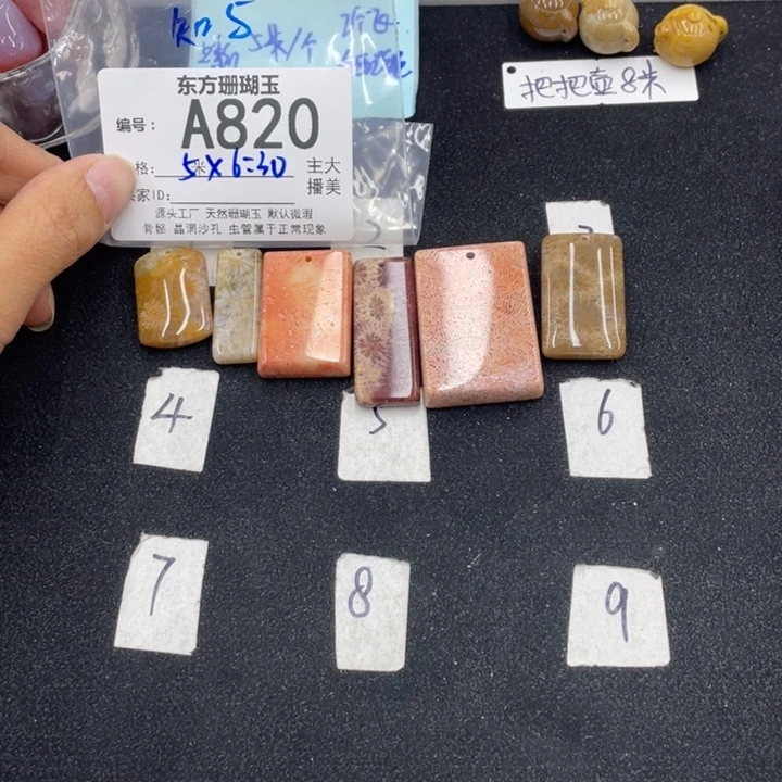 硅化珊瑚（珊瑚玉）颈饰合金知*