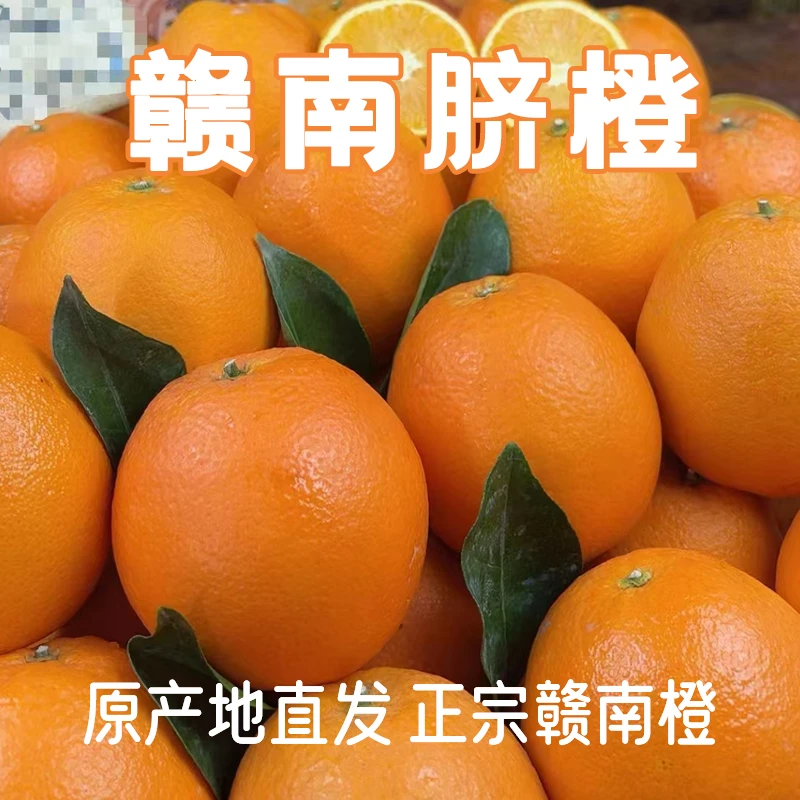 正宗江西赣南脐橙10斤新鲜手剥甜橙子当季新鲜水果整箱赣州直发