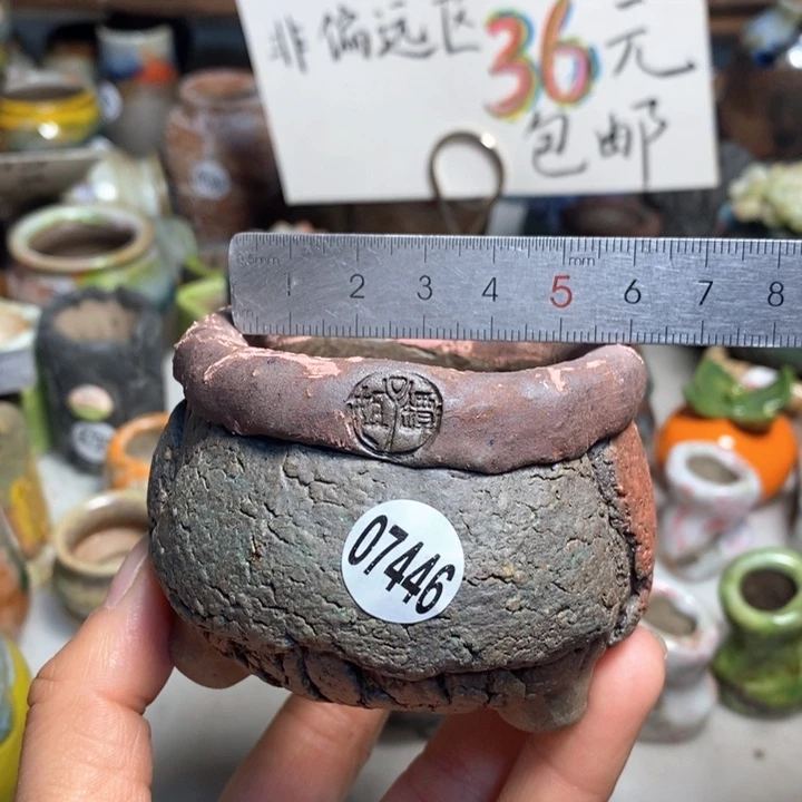 拍3送一个小礼物花盆