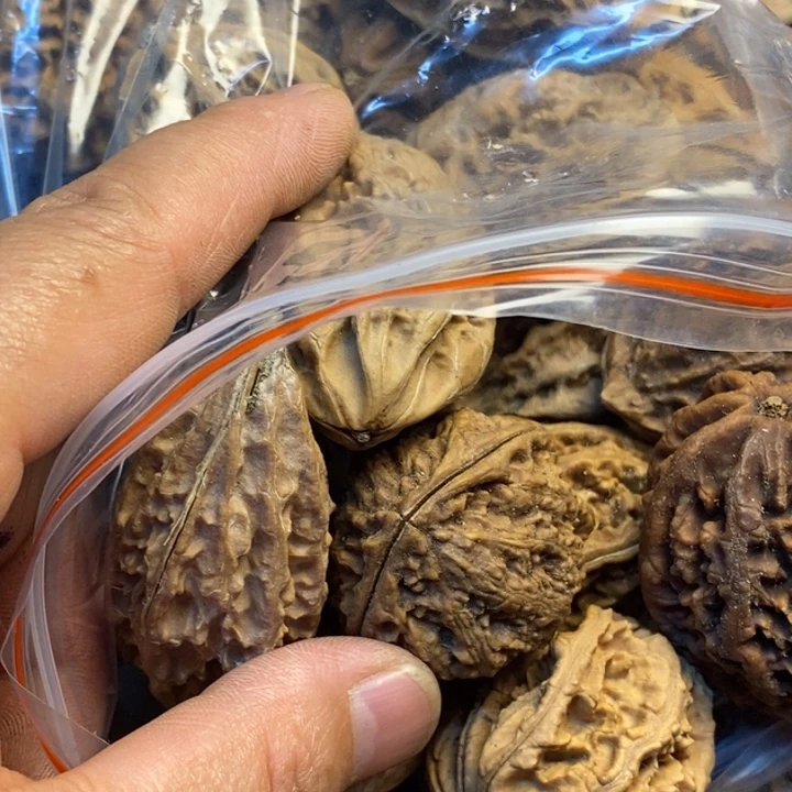 吊坠桃核娜姐真的61