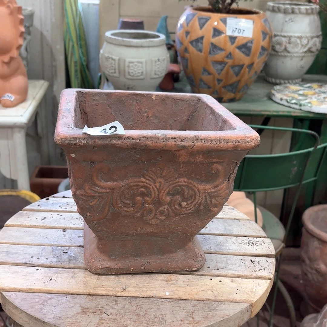 许纯的花房 孤品242 福利