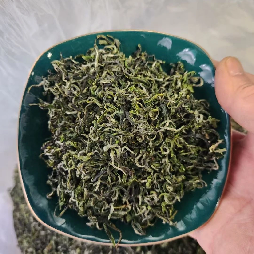 2025日照绿茶晚秋封园茶