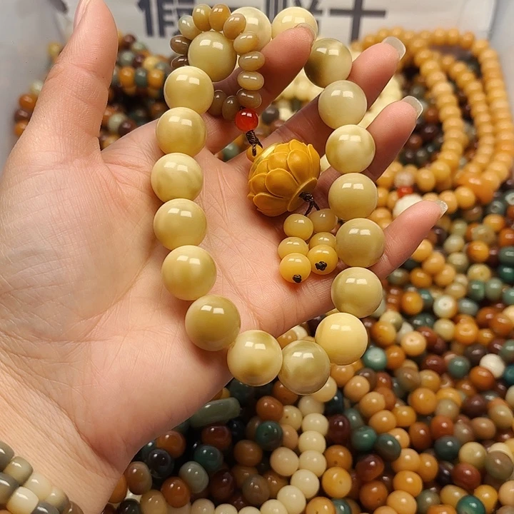 吊坠菩提根/象牙果