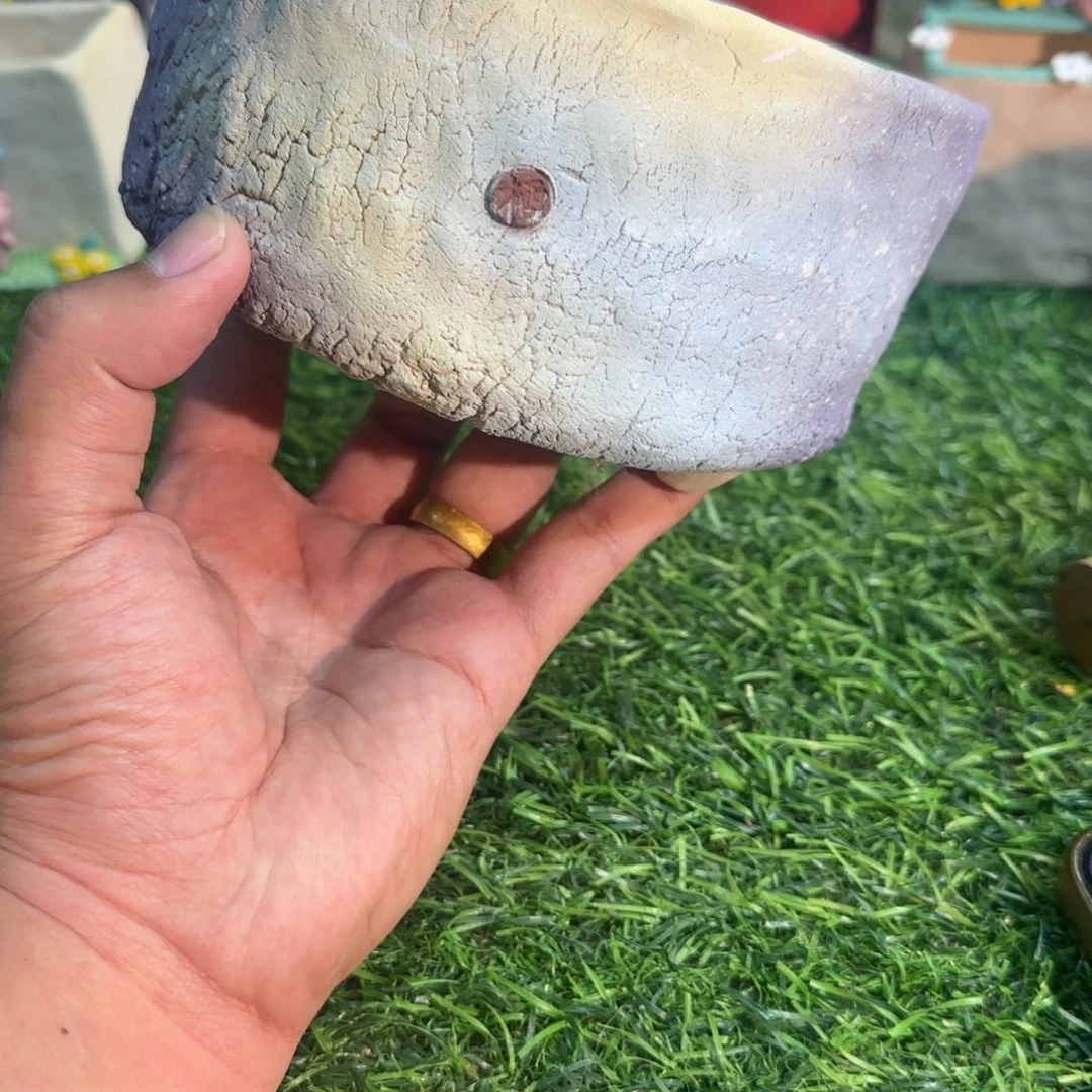 凄凄切切地在一起了吗哈哈笑的我