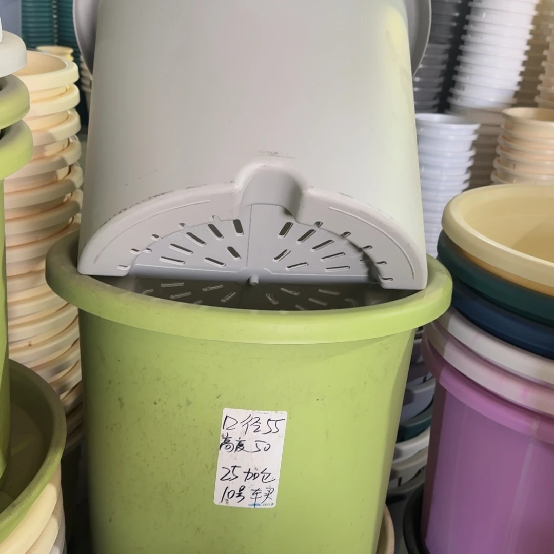 四季55口无拖果绿2个