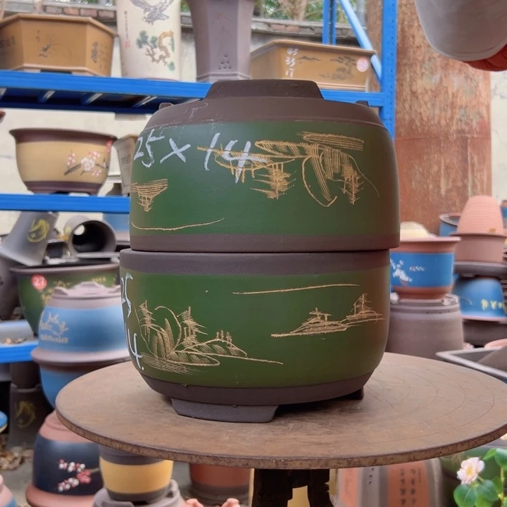 25+25绿描金球盆花盆花盆