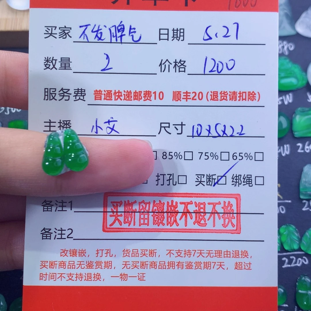 翡翠未镶嵌颈饰不****财豆子