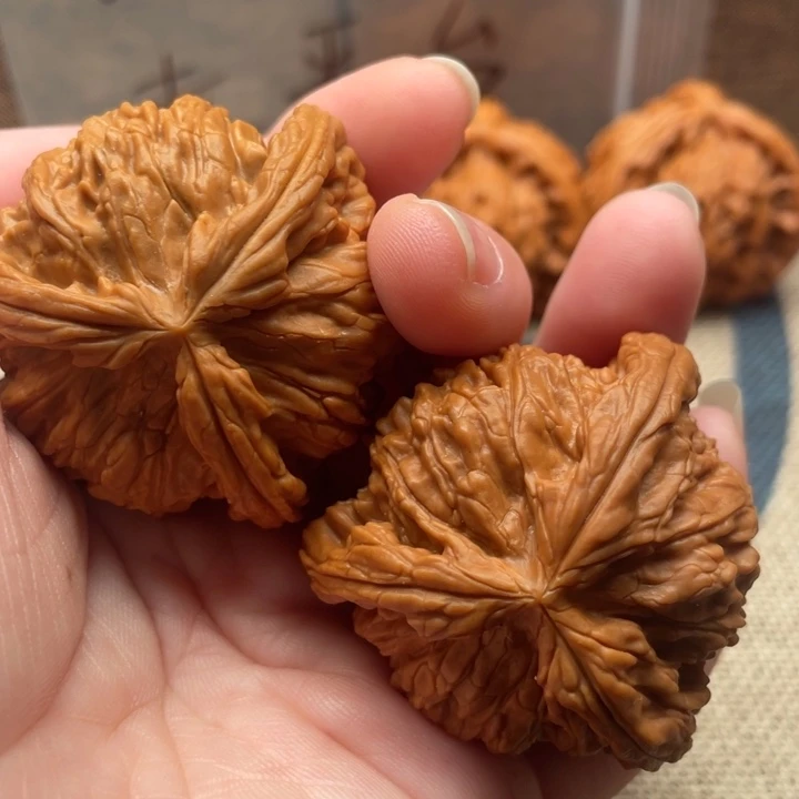 我***仔核桃白狮子43核桃