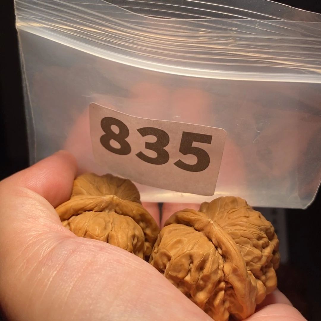 文玩核桃把件用****4文玩核桃把件