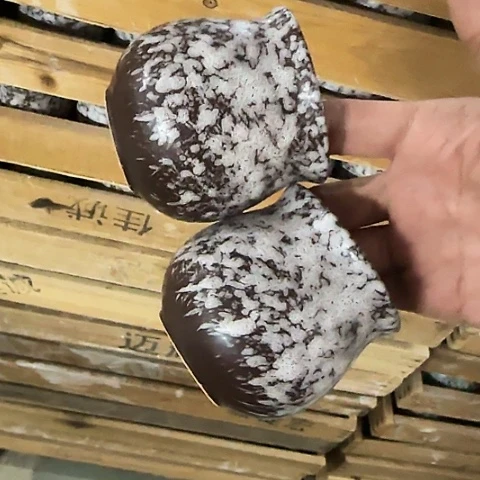 ···2个处理······