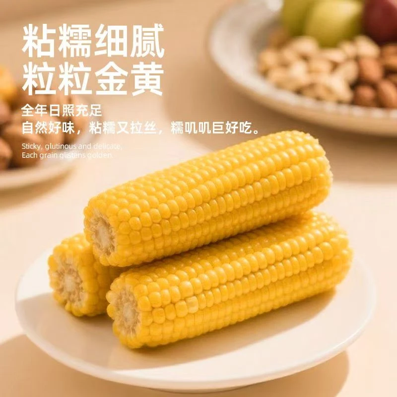 东北黄糯玉米真空包装营养代餐粗粮饱腹(整箱10根含试吃4根）