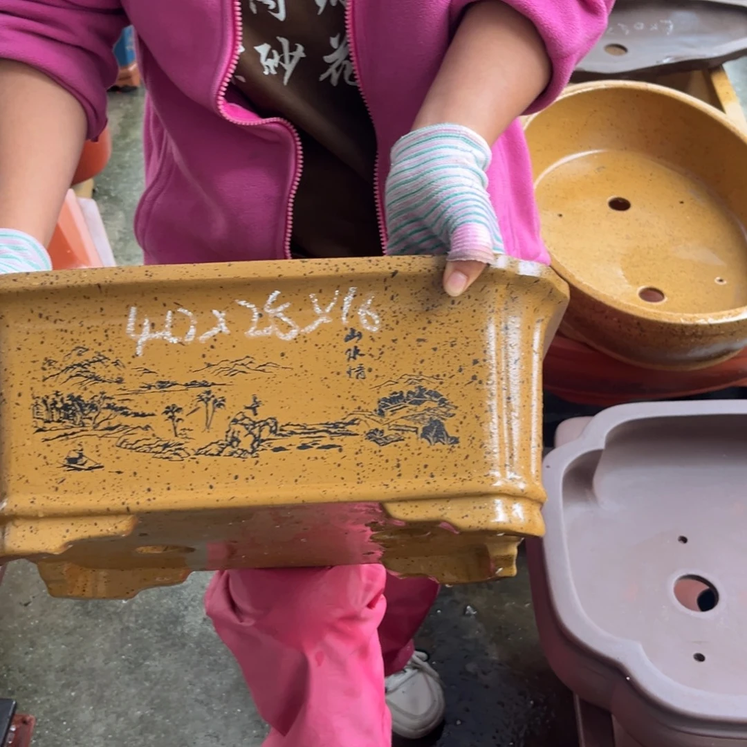 花盆紫砂盆景艺术