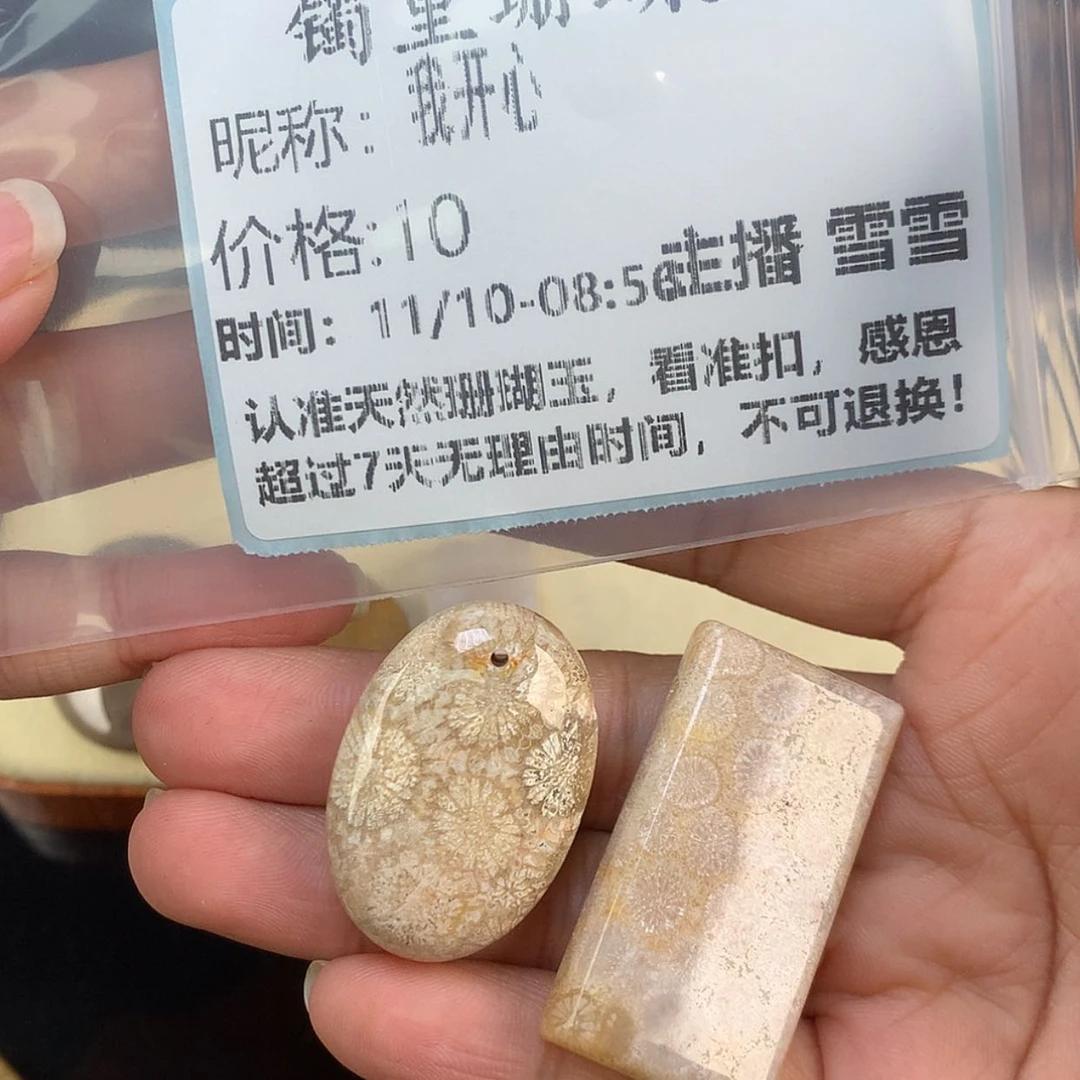 【闪购商品】颈饰未镶嵌硅化珊瑚（珊瑚玉）我*心