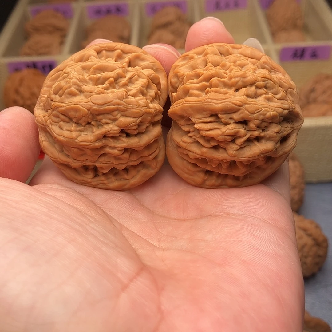 文玩核桃把件虎头王43（头货精品