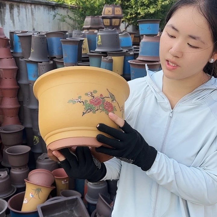 陈波金钟鸟语花香大号