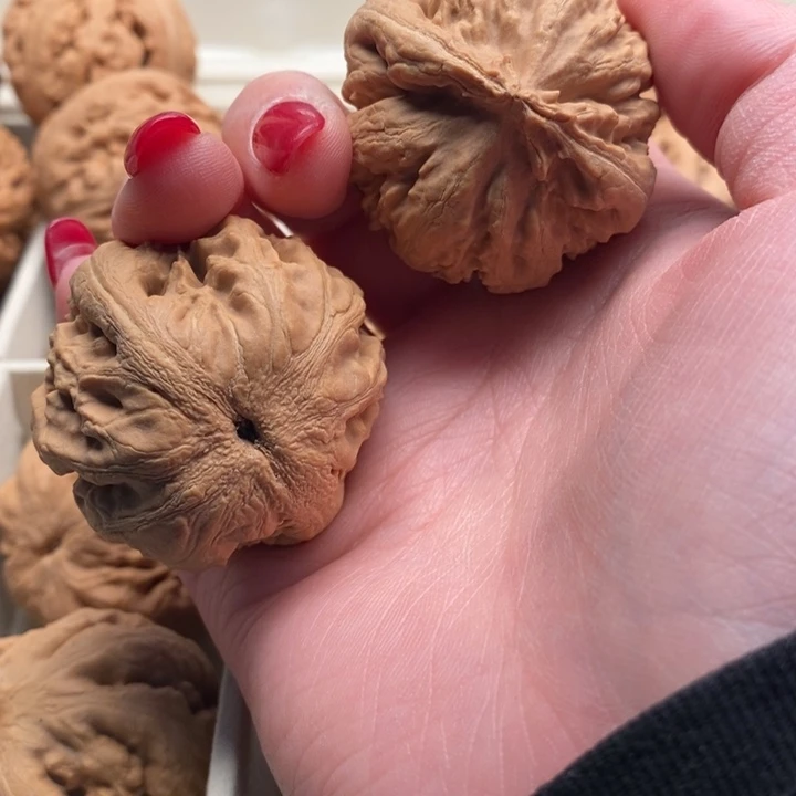 花***园把件文玩核桃霸王龙