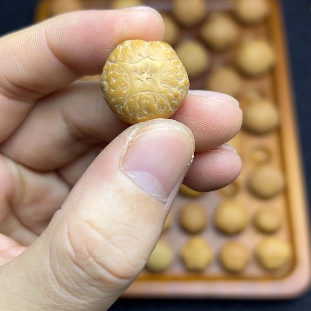 手串凤眼菩提19.5五星上将