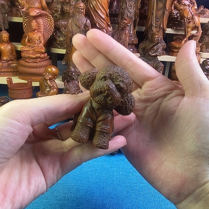 黄杨木小叶黄杨木