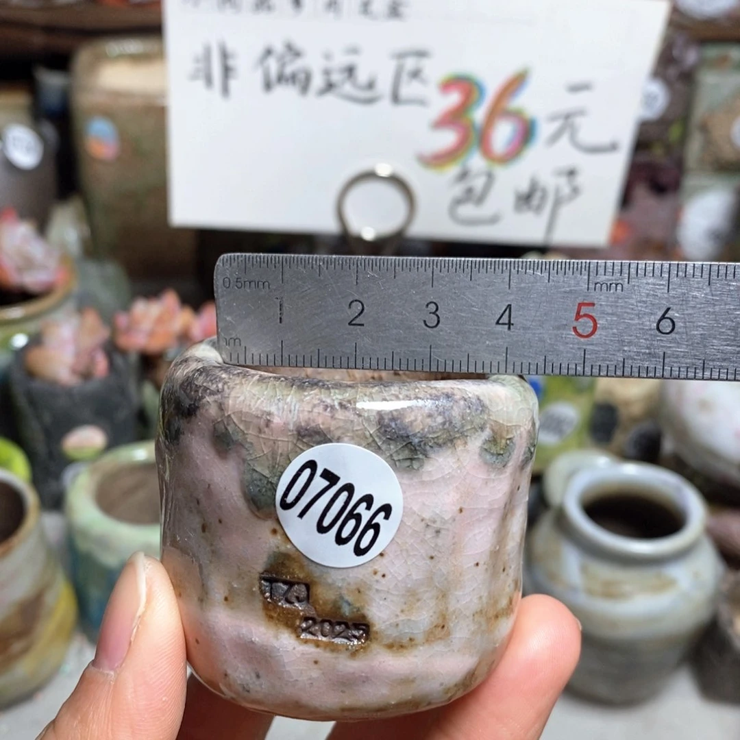 花盆拍3送一个小礼物