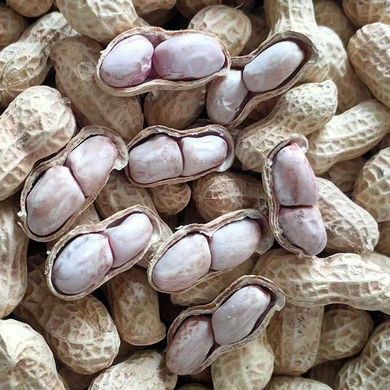 【云姐优选】水煮白晒咸干带壳熟花生休闲零食配茶