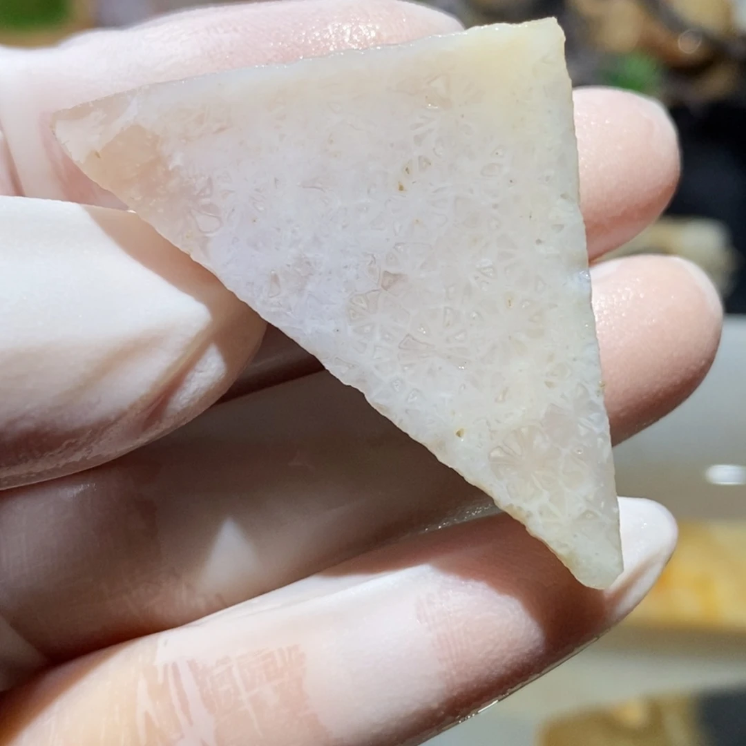 【闪购商品】硅化玉颈饰未镶嵌
