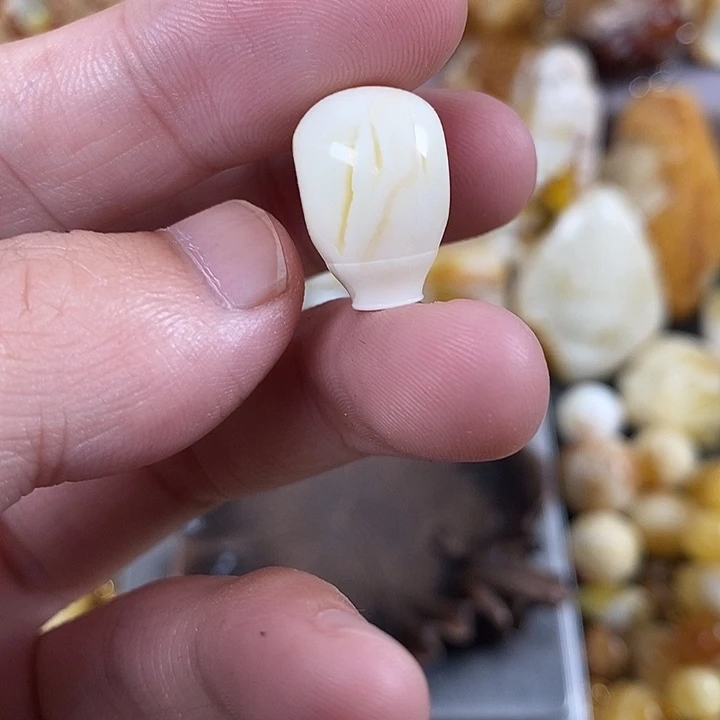 琥珀未镶嵌裸石我